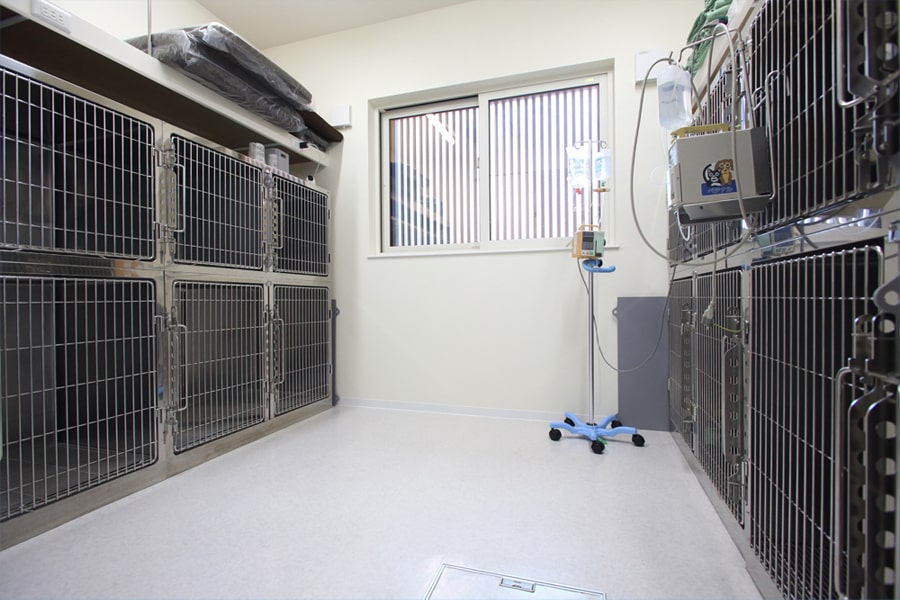 犬入院室